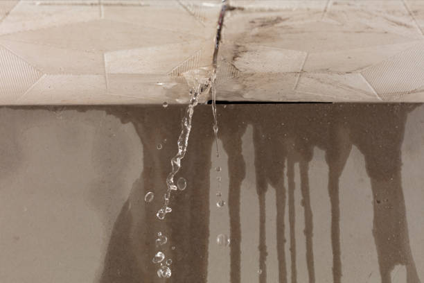 Professional Structural Drying technician working in Waterford, VA